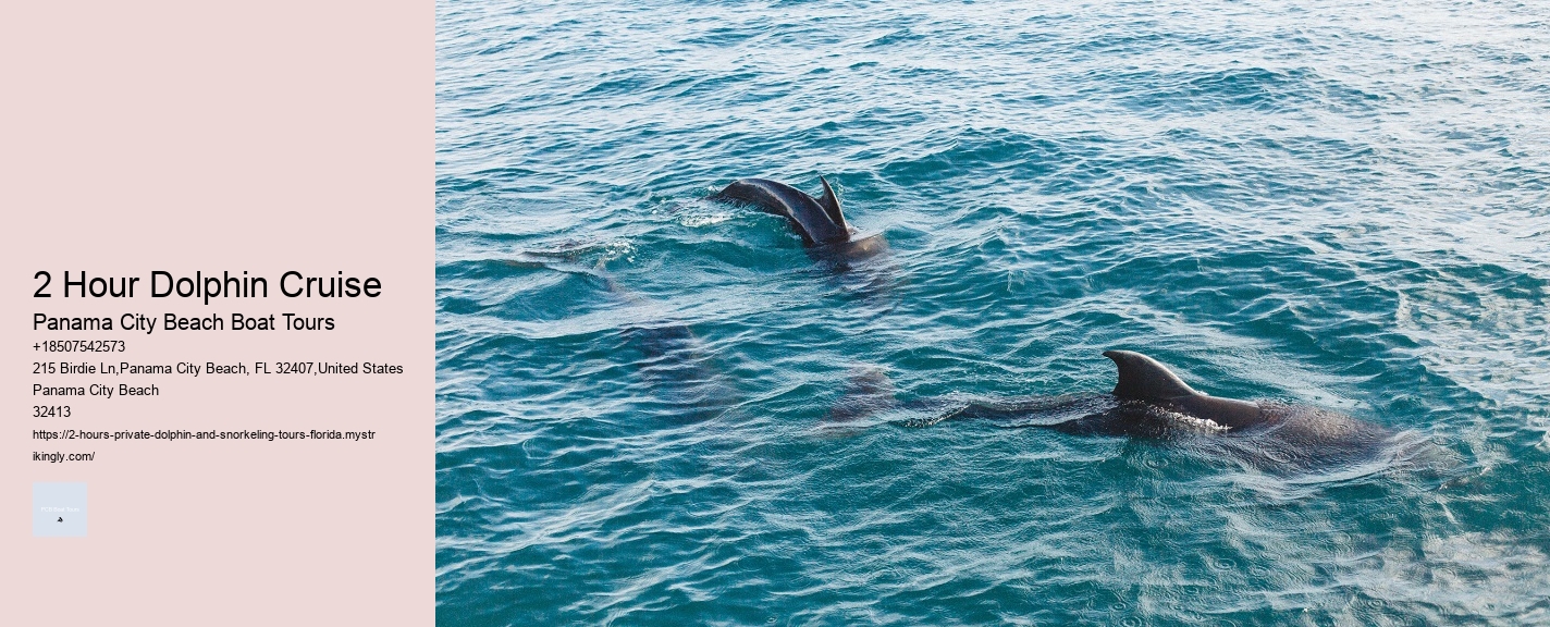Dolphin Tours Alaska