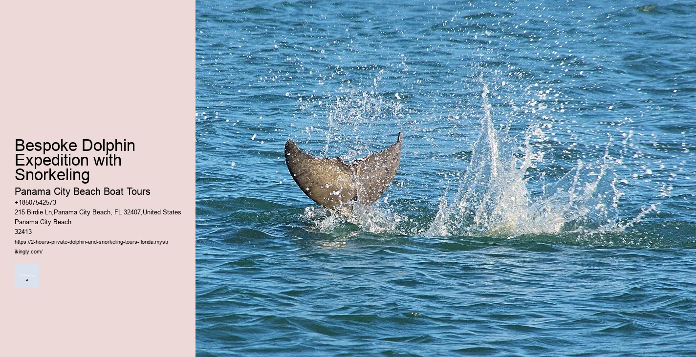 North Carolina Dolphin Tours