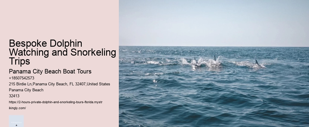 What Does A Dolphin Do Every Two Hours