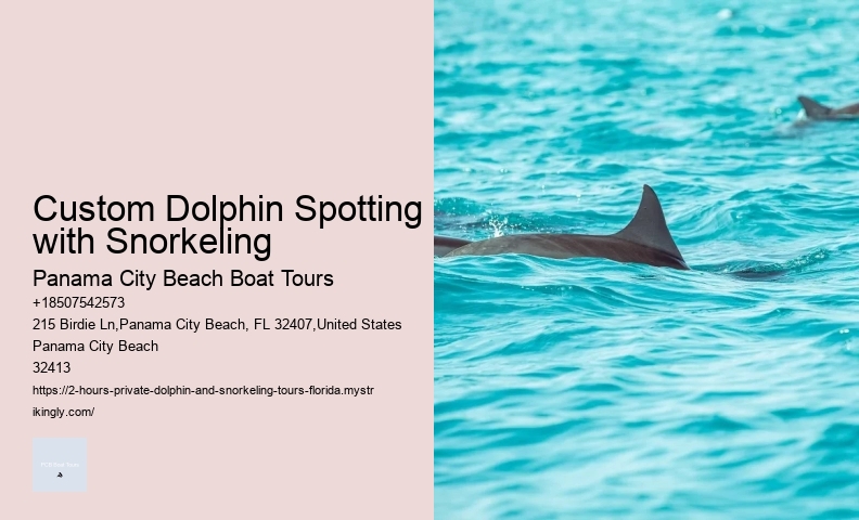 Luxury Dolphin Watching and Snorkeling Excursions
