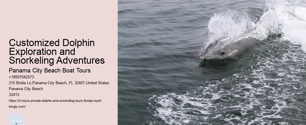 Wilmington Nc Dolphin Tours