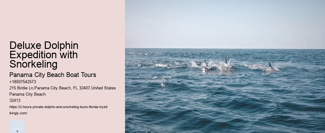 Ten Reasons Sharks Are Afraid Of Dolphins