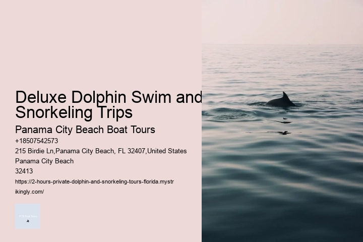 Deluxe Dolphin Swim and Snorkeling Trips