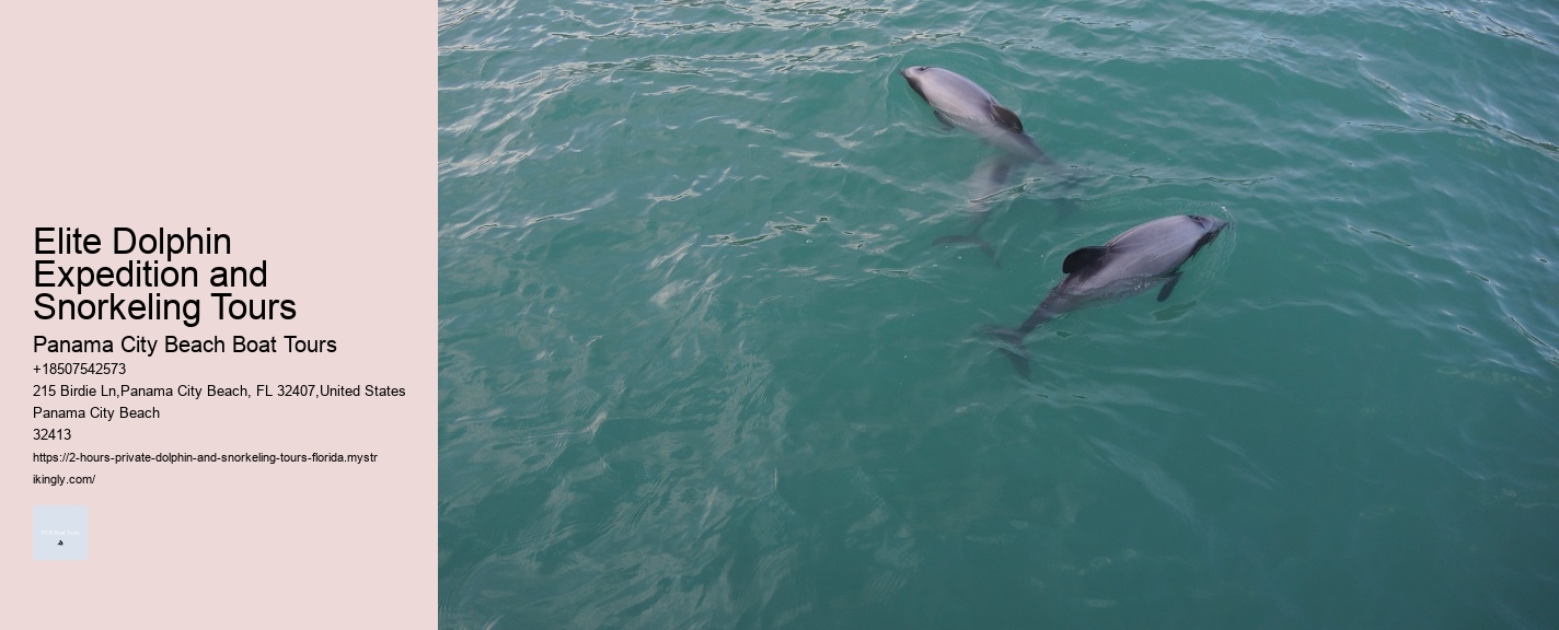 Which Beach Has The Most Dolphins