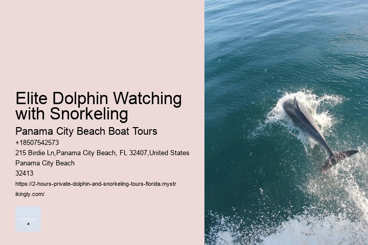 Dolphin Tours Destin Florida