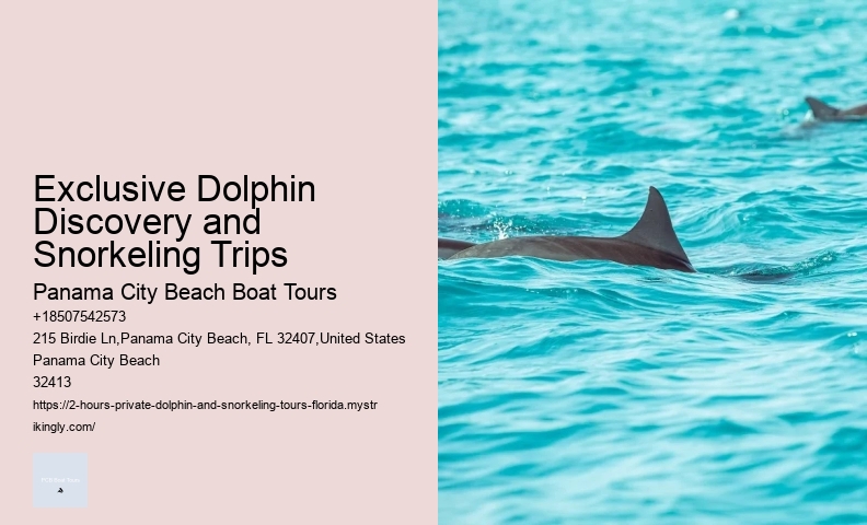 Dolphins And Snorkeling