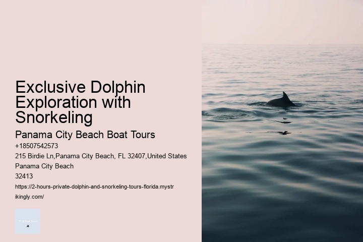 Orange Beach Dolphin Tours