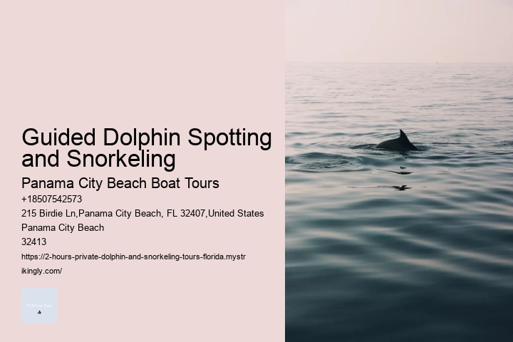 Private Dolphin Tours Orange Beach