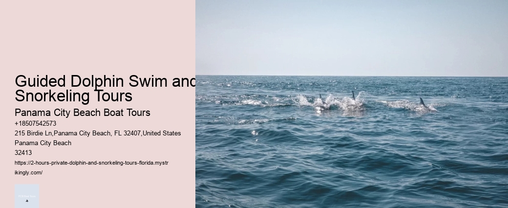 Guided Dolphin Swim and Snorkeling Tours