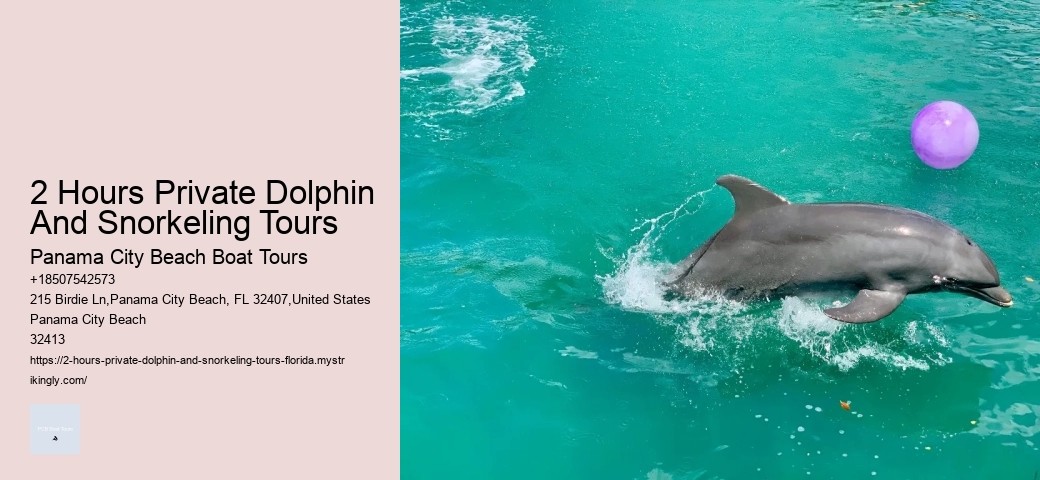 Outer Banks Dolphin Tours