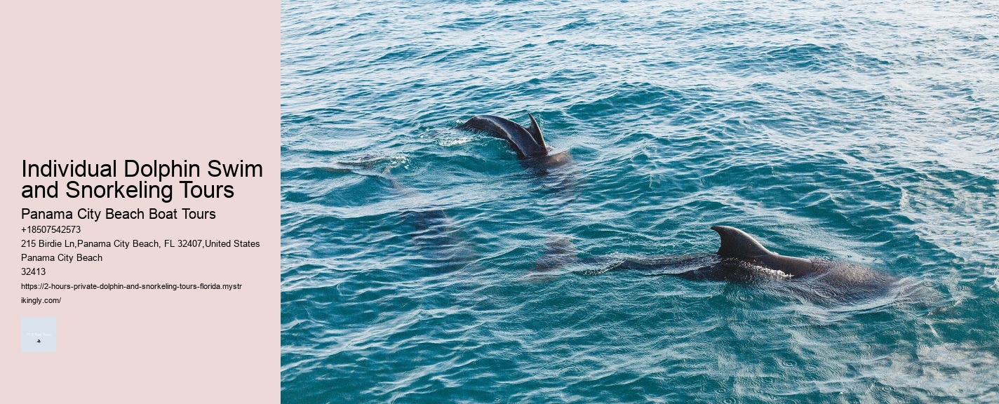 Tailored Dolphin Watching with Snorkeling