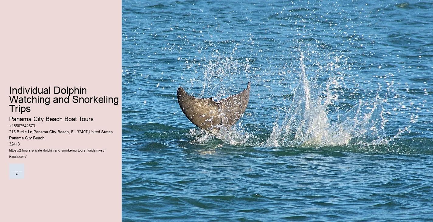 Salty Mary Dolphin And Snorkel Tours