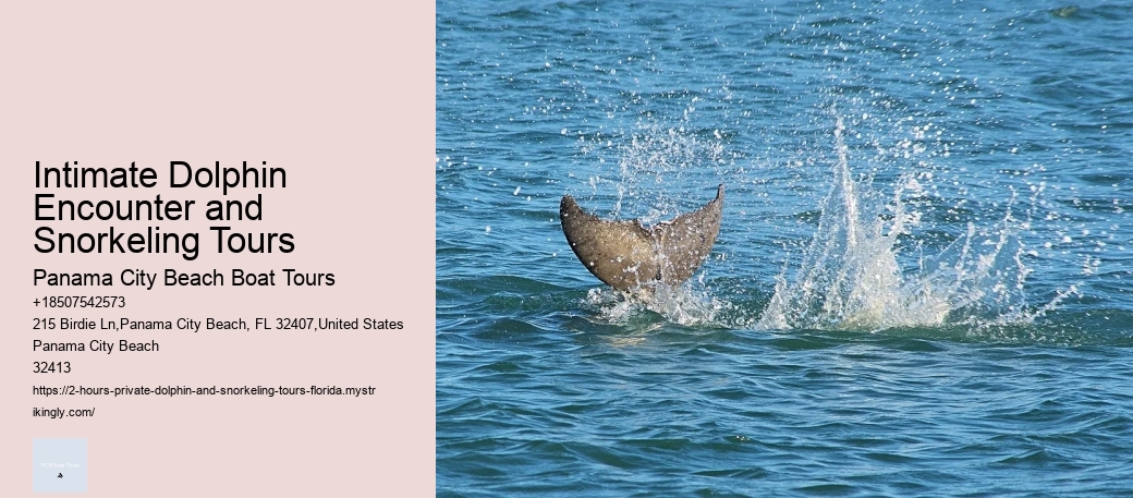 Dolphin Watch 4 Tybee Island