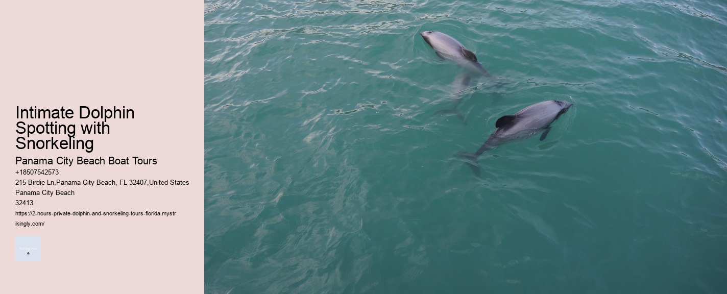 Intimate Dolphin Spotting with Snorkeling