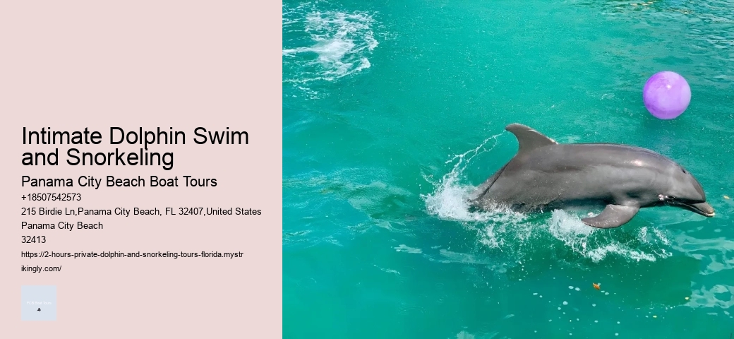 Tarpon Dolphin Tours