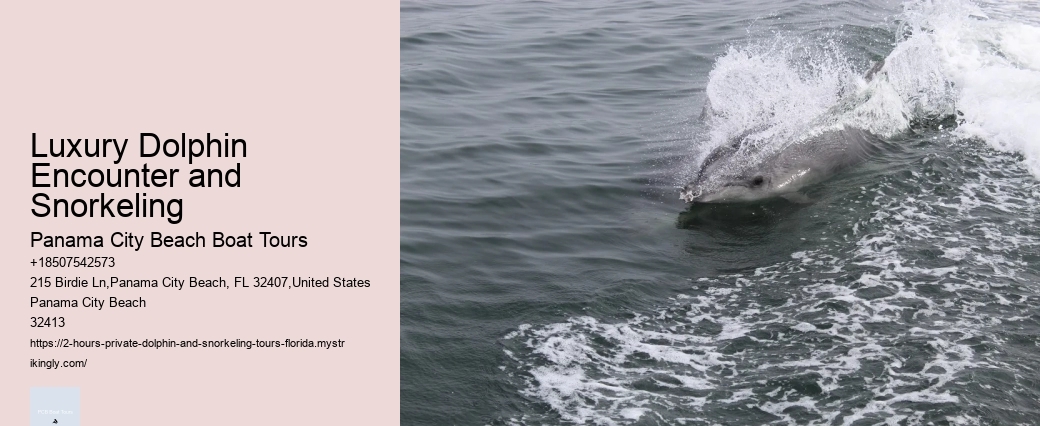 Dolphin Boat Snorkeling Tours In Panama City Beach