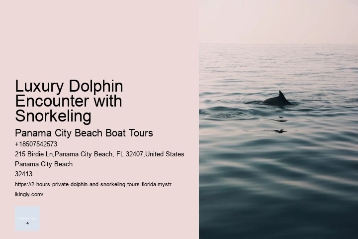 Tailored Dolphin Watching and Snorkeling Expeditions