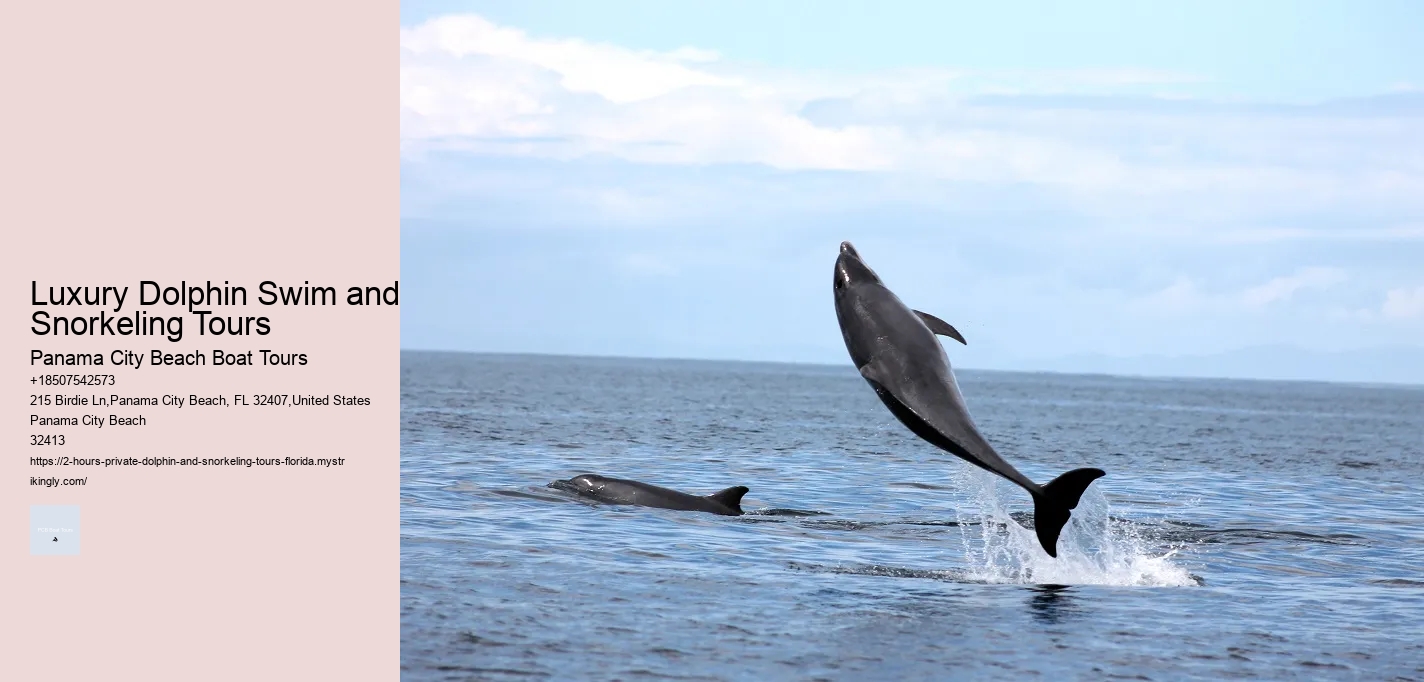 Split Charter Dolphin And Snorkeling Tours 2 Hours