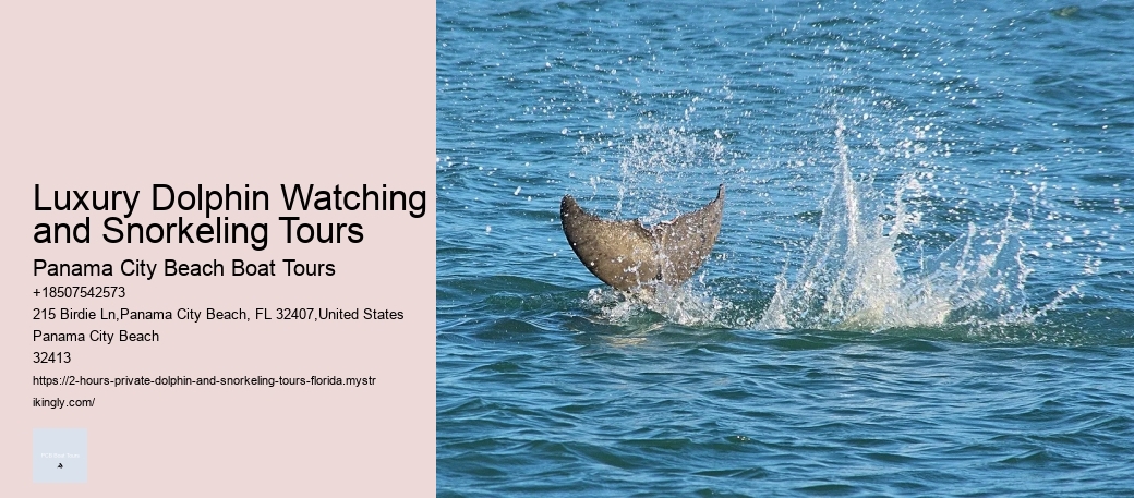 Sunrise Until Mid-morning