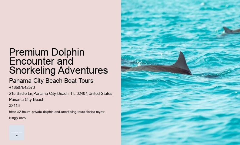 Dolphin Tours Longboat Key