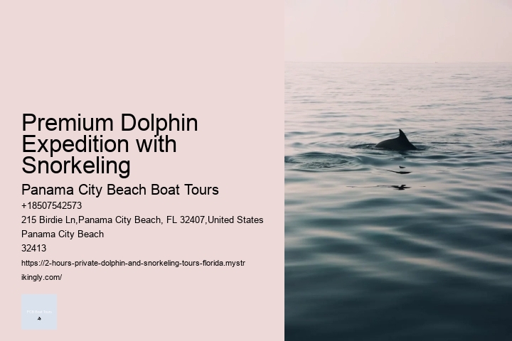 Carolina Beach Dolphin Tours