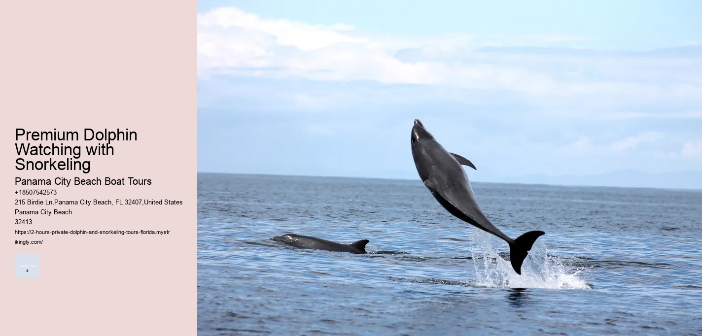 Dolphin Tours Aransas Pass Tx