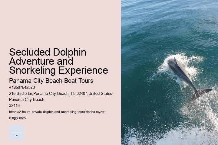 Dolphin Tours Port Aransas