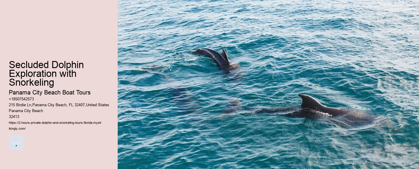 Voyager Dolphin Tours