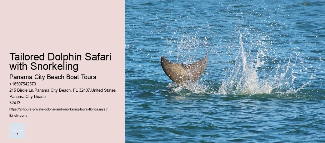 Custom Dolphin Encounter and Snorkeling