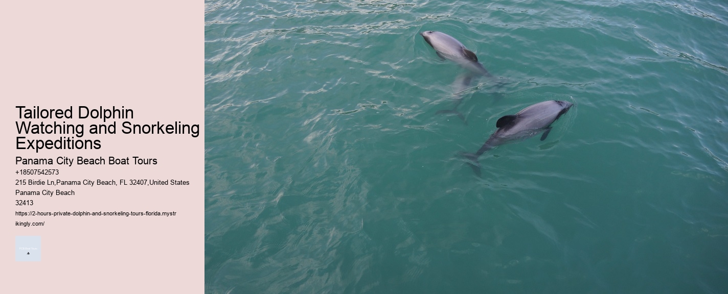 Anna Maria Island Dolphin Tours Photos