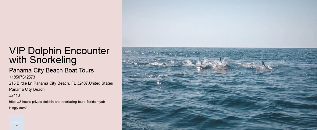 Do Dolphins Really Protect Humans From Sharks