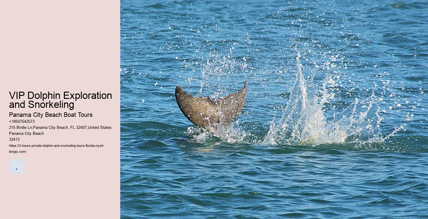 Pacific White-sided Dolphin